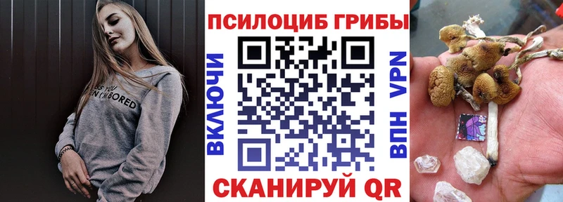 mega ссылка  сколько стоит  Чистополь  Псилоцибиновые грибы прущие грибы 