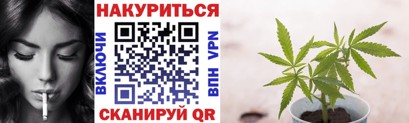 Бошки Шишки MAZAR  Чистополь 